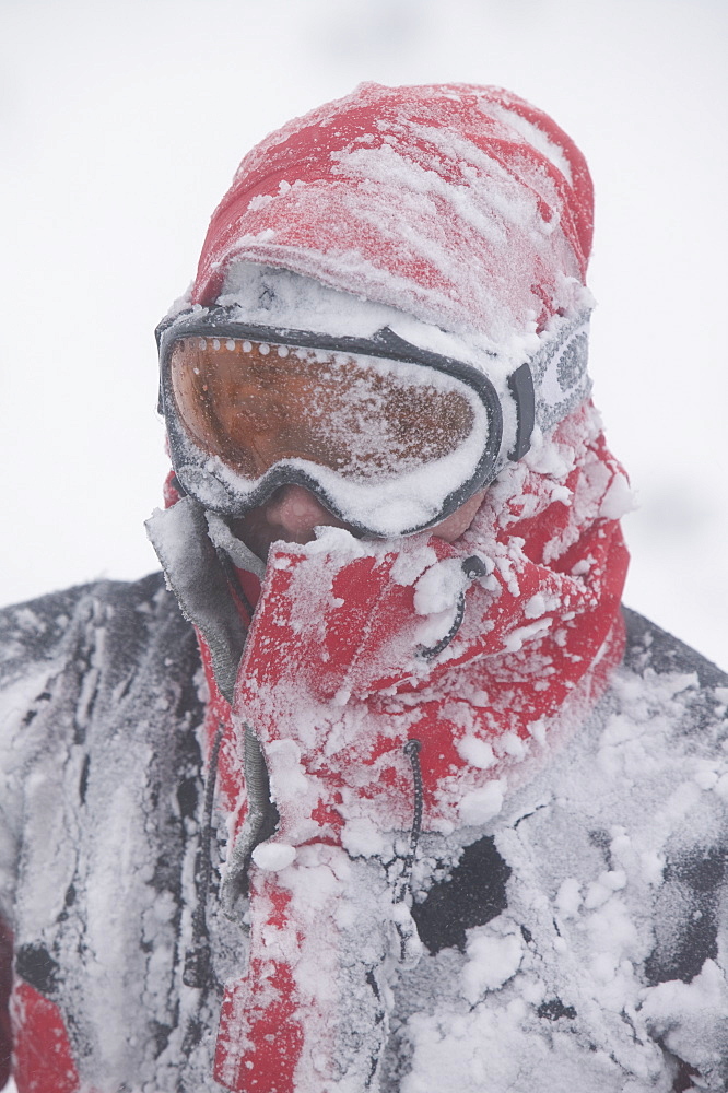 Mountaineers surviving atrocious conditions on Cairngorm, Scotland, United Kingdom, Europe