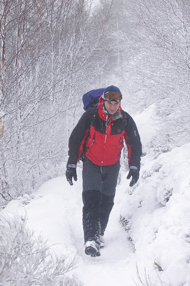 Mountaineers in winter conditions on Cairngorm, Scotland, United Kingdom, Europe