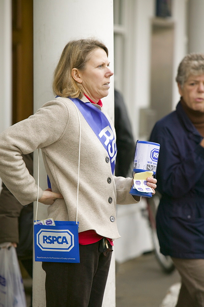 A women charity collector in Newark in Nottinghamshire, England, United Kingdom, Europe