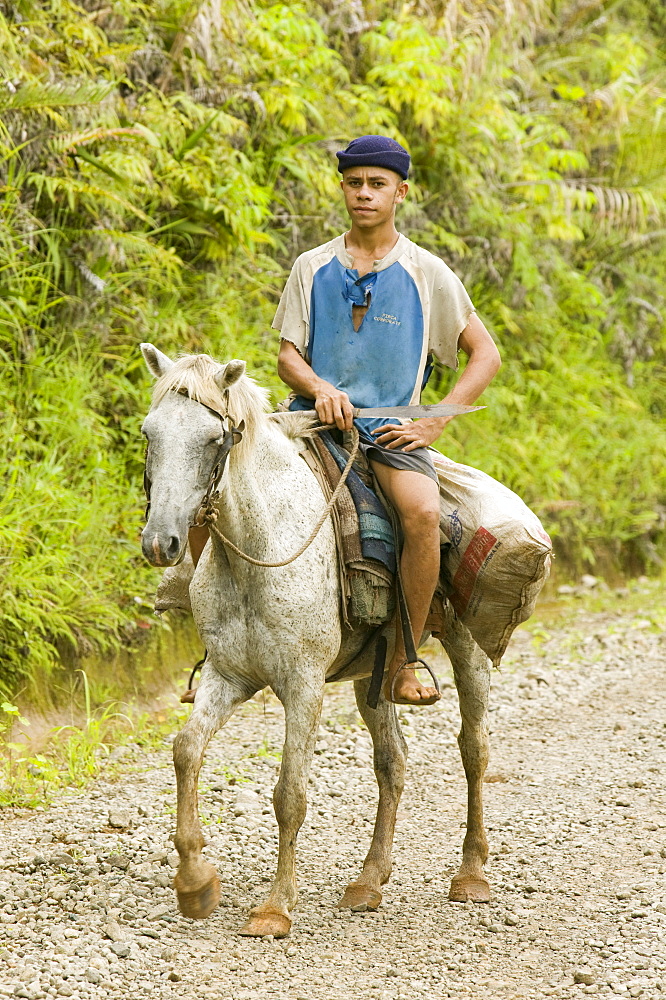 A man rides along a forest road in rainforest on Fiji, Pacific