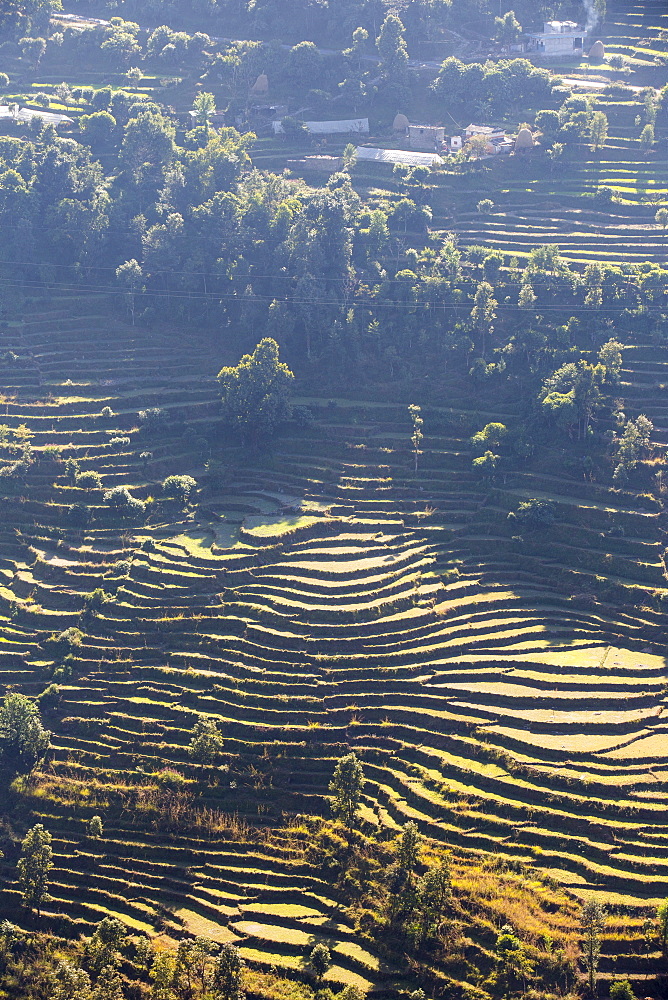 Subsistence farming in the Annapurna Himalayas in Nepal, Asia