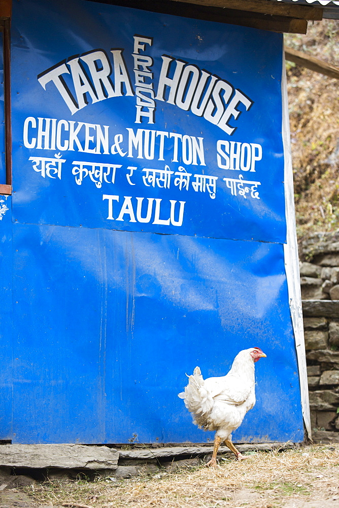 A butchers shop on the Annapurna base Camp trek in the Nepalese Himalayas, Nepal Asia