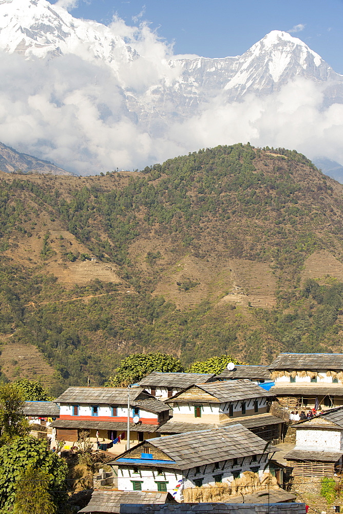 The ancient traditional village of Ghandruk beneath Annapurna South in the Nepalese Himalayas, Nepal, Asia