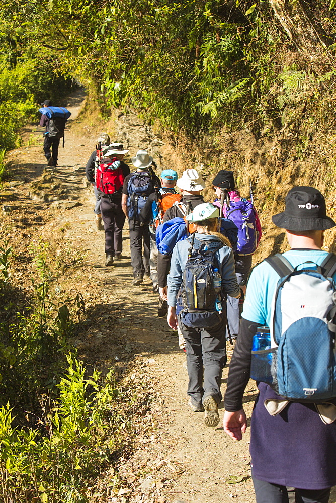 Trekkers on the Annapurna Base Camp trek, Nepal, Asia