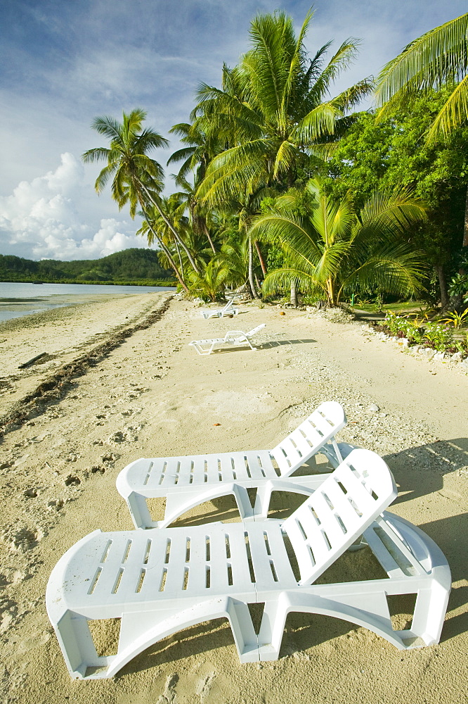 Coconut palms at the Walu Beach Resort on Malolo Island off Fiji, Pacific