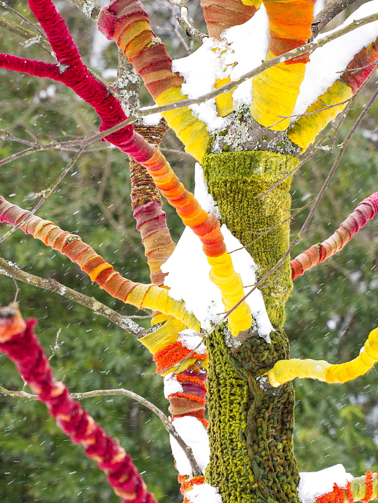 A tree wrapped in wool in the grounds of Rydal Hall, Ambleside, Lake District, Cumbria, England, United Kingdom, Europe