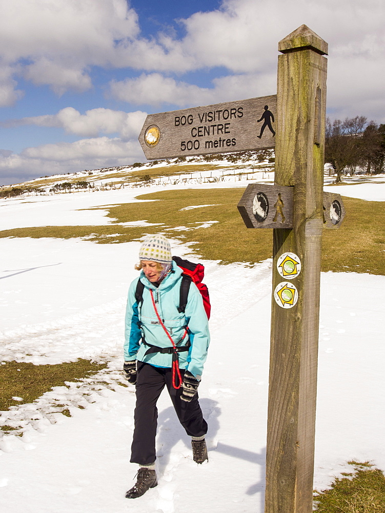 A woman walking on the Stiperstones, Shropshire, England, United Kingdom, Europe