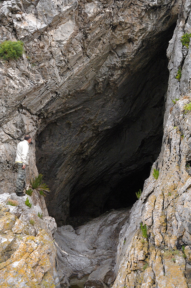 Cave entrance, Paviland Cave, Gower, West Glamorgan, Wales, UK, Europe