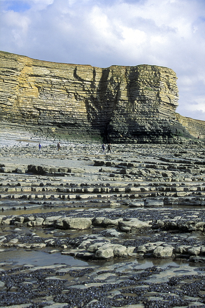 Nash Point, Heritage Coast, Vale of Glamorgan, South Wales      (rr)