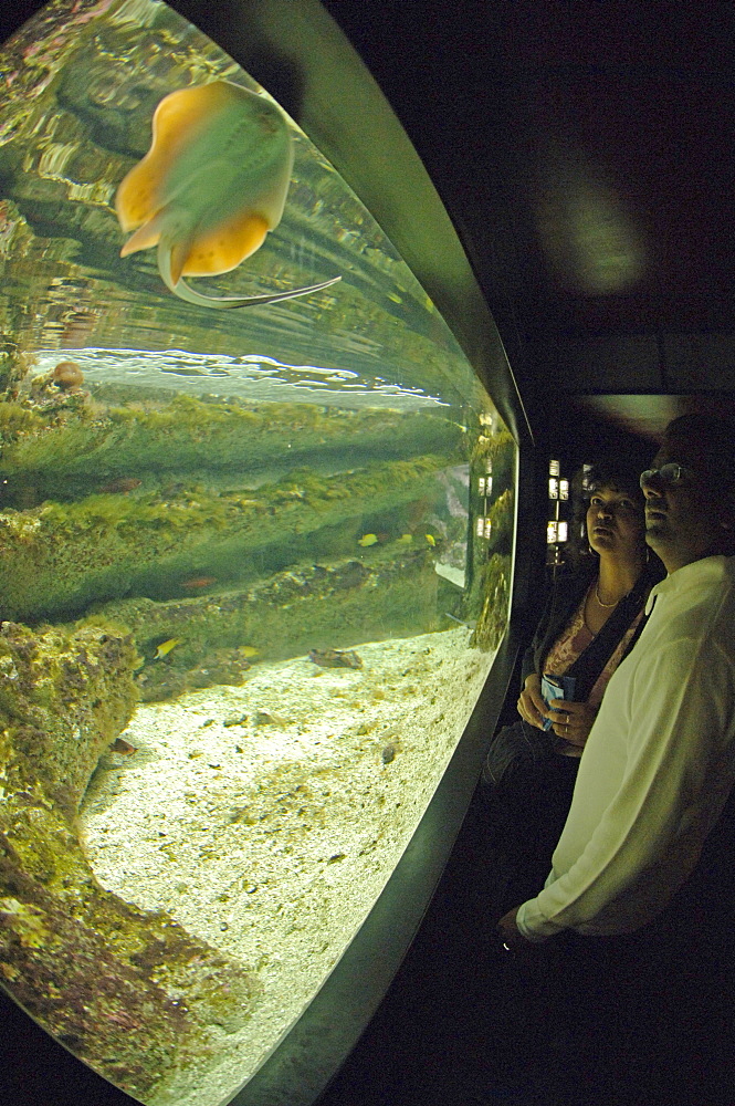 Oceanopolis, Brest, Britanny, France, EU     (rr)