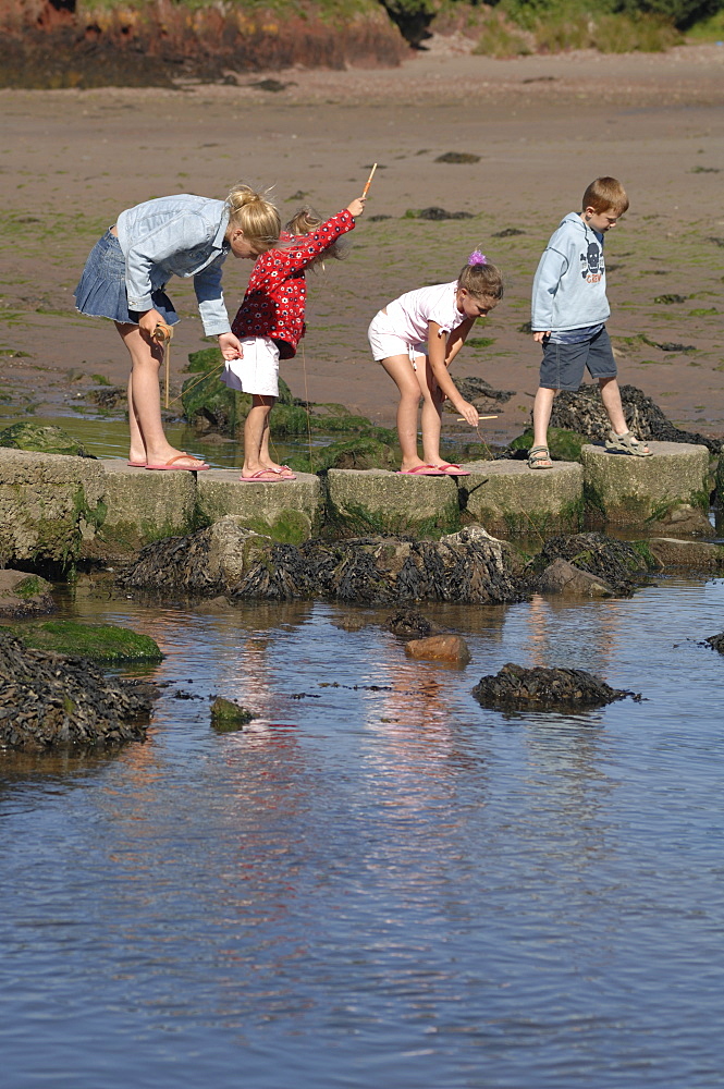 Crab fishing, Sandy Haven, Milford Haven, Pembrokeshire, Wales, UK