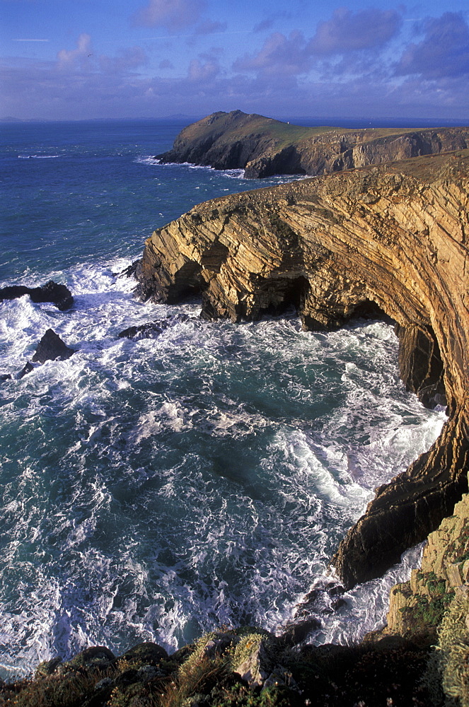 Coastal scenery, Deer Park, Marloes, Pembrokeshire Coast National Park, Wales, UK