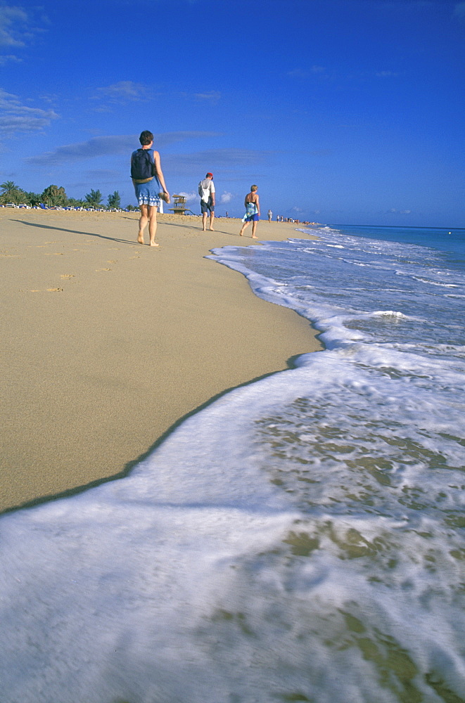 beach, Jandia, Fuerteventura, Canary Islands