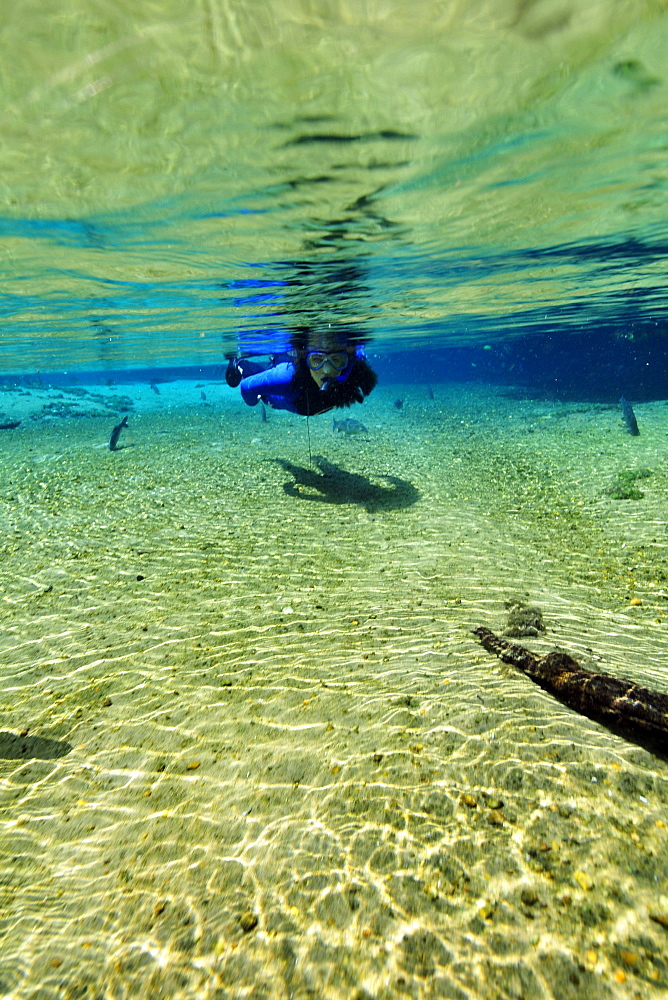 Free diver explores the underwater landscape floating down Olho D'Agua river, Bonito, Mato Grosso do Sul, Brazil, South America