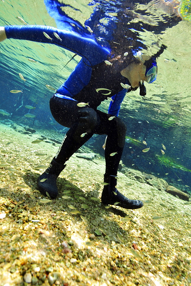 Free diver gets ready to explore the underwater landscape floating down Olho D'Agua and Prata rivers, Bonito, Mato Grosso do Sul, Brazil, South America