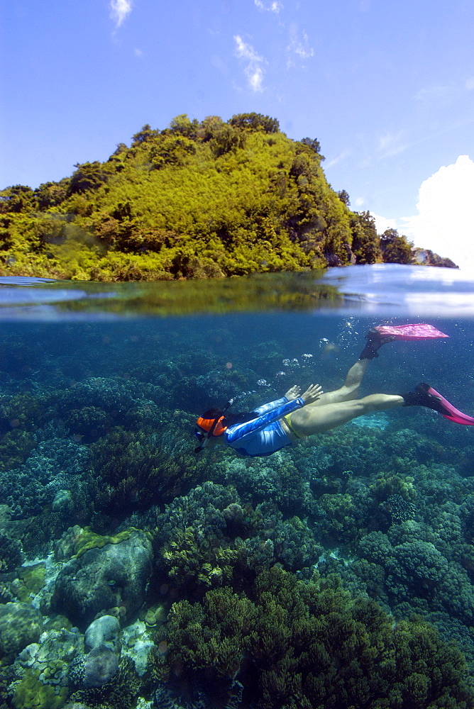 Snorkeller observes the coral reef at Apo island Marine Reserve, Philippines, Southeast Asia, Asia