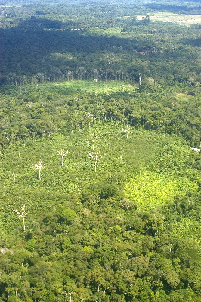 Aerial view of patch of destroyed rain forest, Amazonas, Brazil, South America