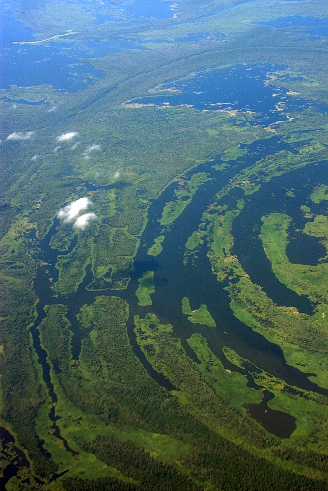 Aerial view of flooded tropical rain forest, Amazonas, Brazil, South America