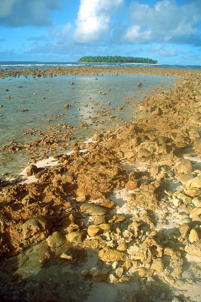 Exposed coral reef during low tide, Tokewa Island, Mili, Marshall Islands, Pacific