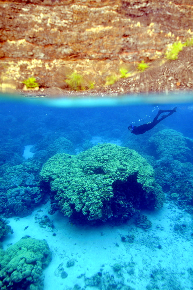 Snorkelling at Kealakekua Bay, Kailua-Kona, Big Island, Hawaii, United States of America, Pacific