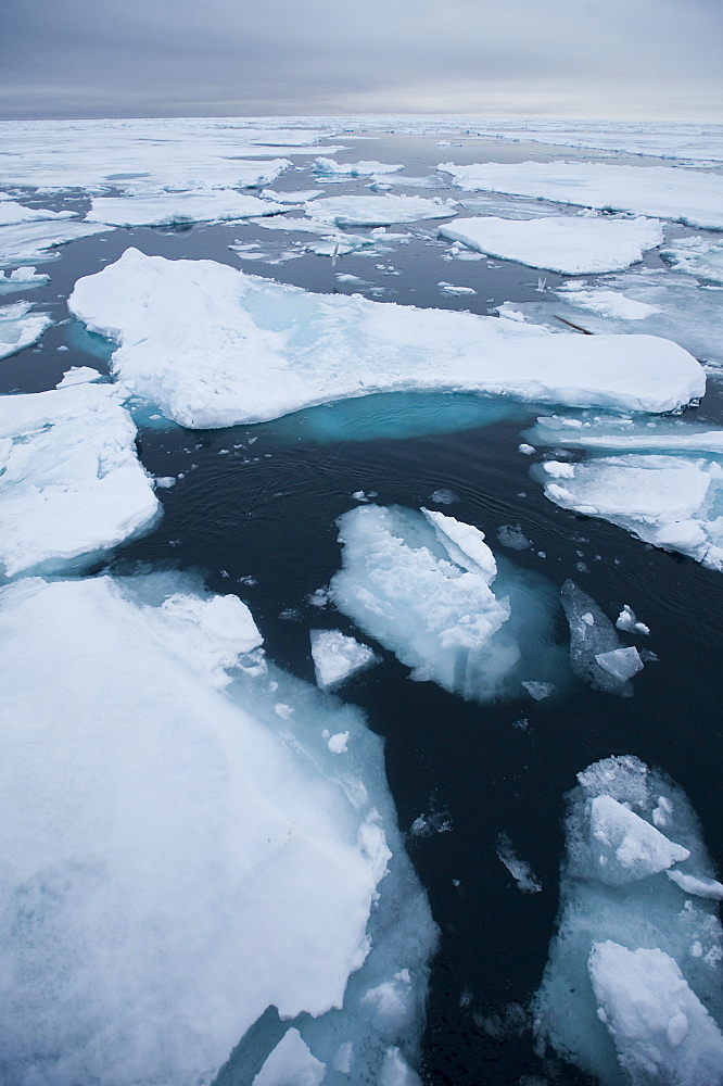 Longyearbyen, Moffen Islands, South ice sheets, Svalbard, Norway