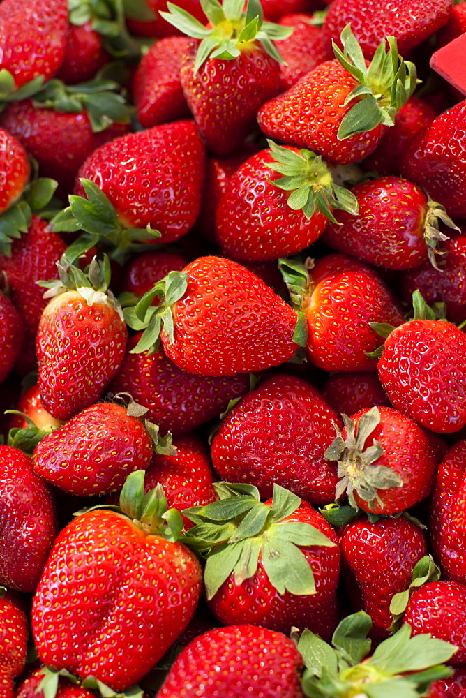 Strawberries for sale at the Sunday morning market, Pollenca, Tramuntana, Mallorca, Balearic Islands, Spain, Europe