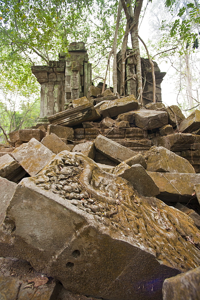 Ta Prohm Temple, Angkor, UNESCO World Heritage Site, Siem Reap, Cambodia, Indochina, Southeast Asia, Asia 