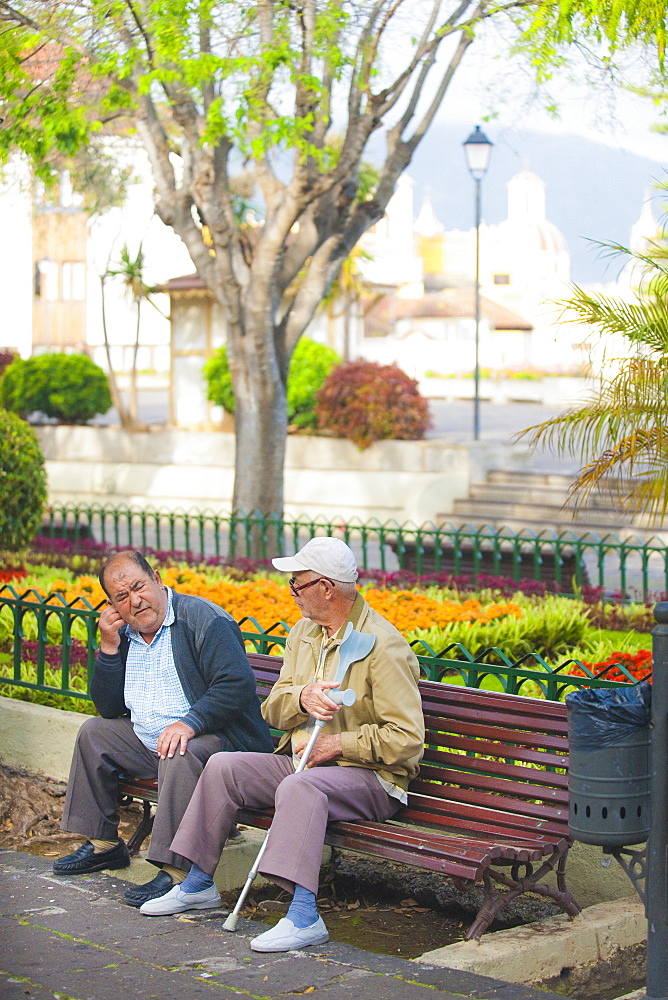 Plaza de la Constition, 08/04/2009, local men sitting. Santa Cruz, Tenerife Island. Canary Islands, Spain, Espa–a