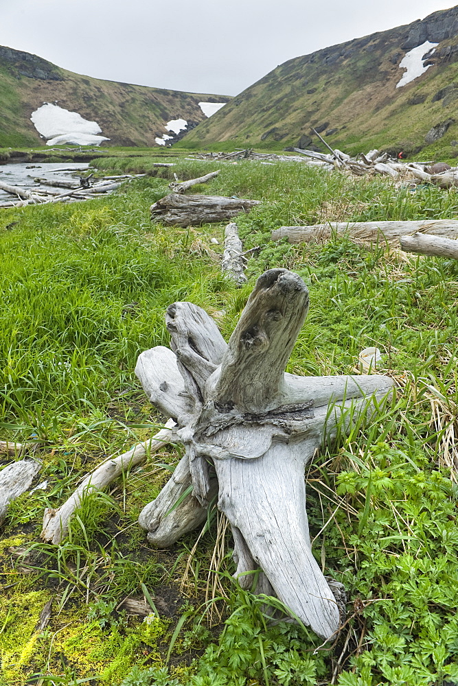 2008, Flosam and Jetsam, Glaciated valley, Onekotan Island, Kamchatka Peninsular, Russia, Asia