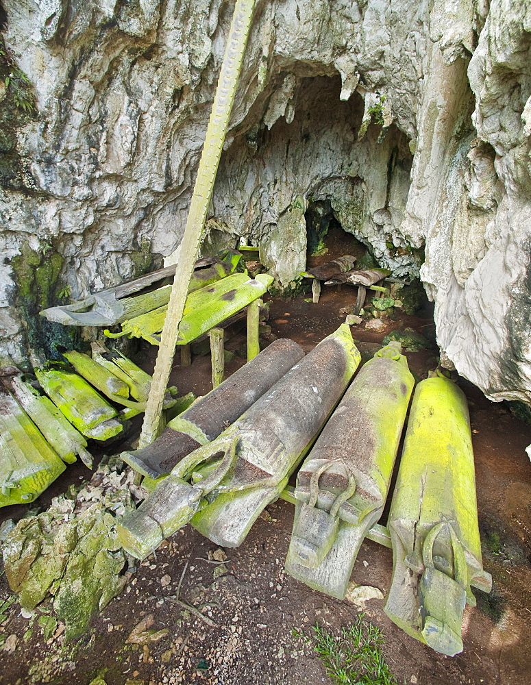 Timber Coffins in Burial Caves, Kinabatanga Valley, Sabah, Borneo, Malaysia