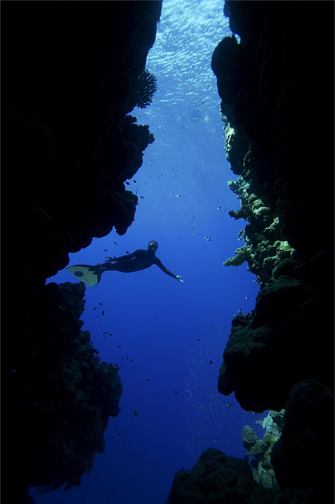 Sara Campbell world Champion freediver running freediving courses in Dahab. Egypt.