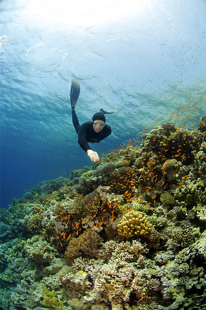 Sara Campbell world Champion freediver running freediving courses in Dahab. Egypt.