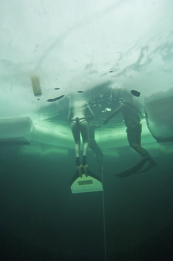 freedivers in the Oslo Ice Challenge 2009. Oslo, Norway