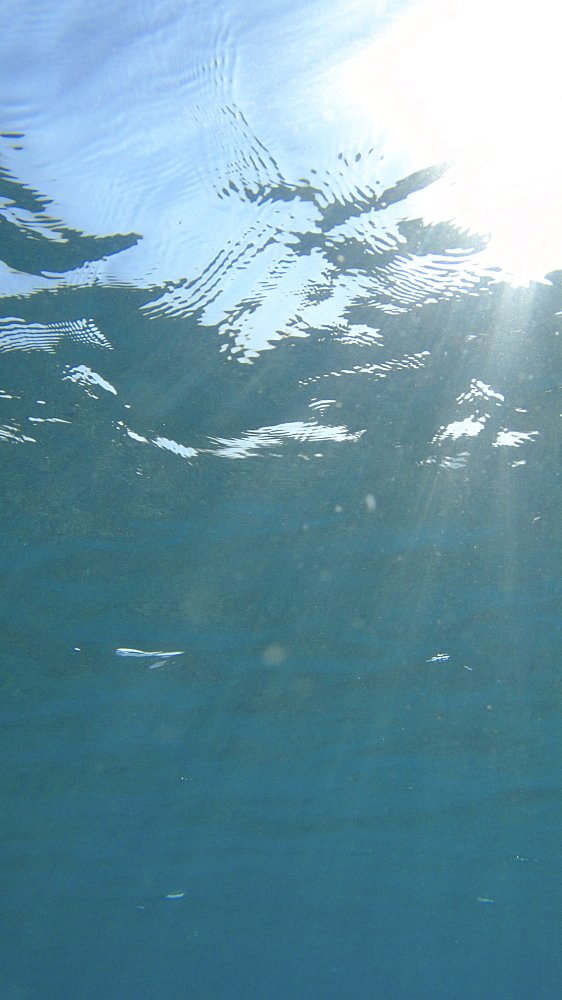 blue water in shallow sandy seabed