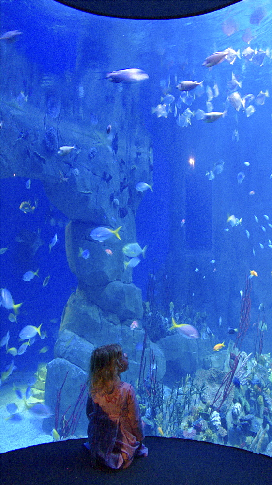 Families enjoying a day out at the aquarium in Plymouth Devon . UK    (rr)