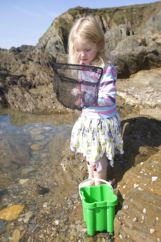 Young 5 year old girl rockpooling in Devon . UK 