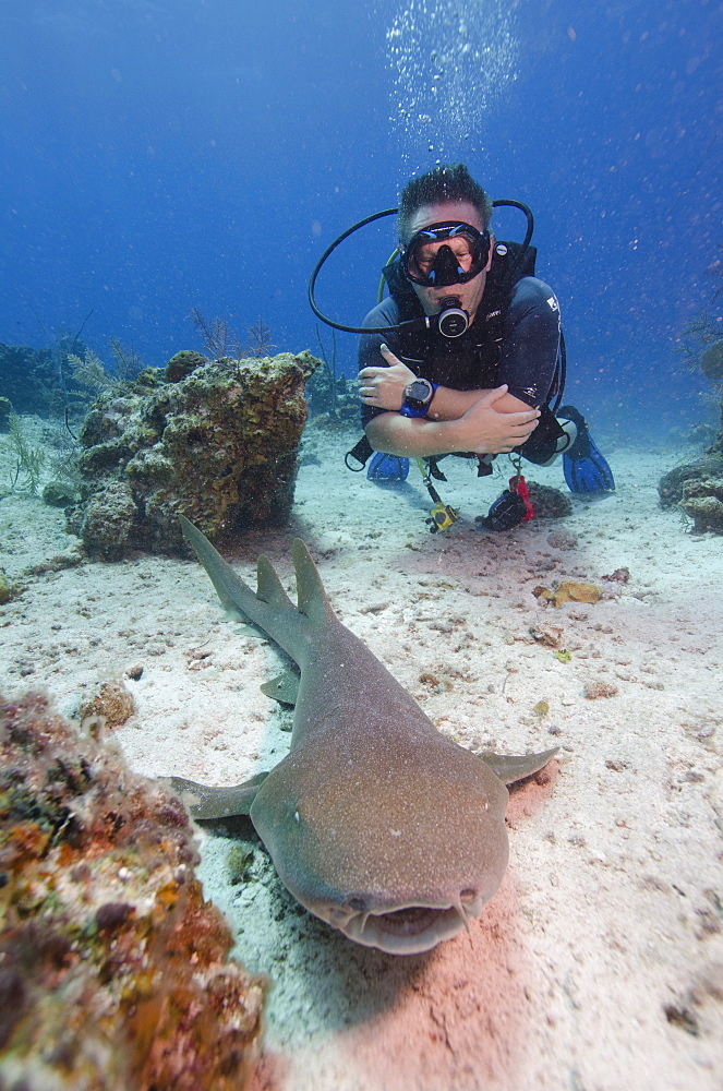 Close encounters with Nurse shark on G Spot Reef, Turks and Caicos, West Indies, Caribbean, Central America