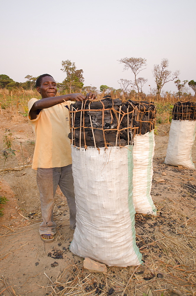 Charcoal makers selling charcoal on the side of the road, Zambia, Africa