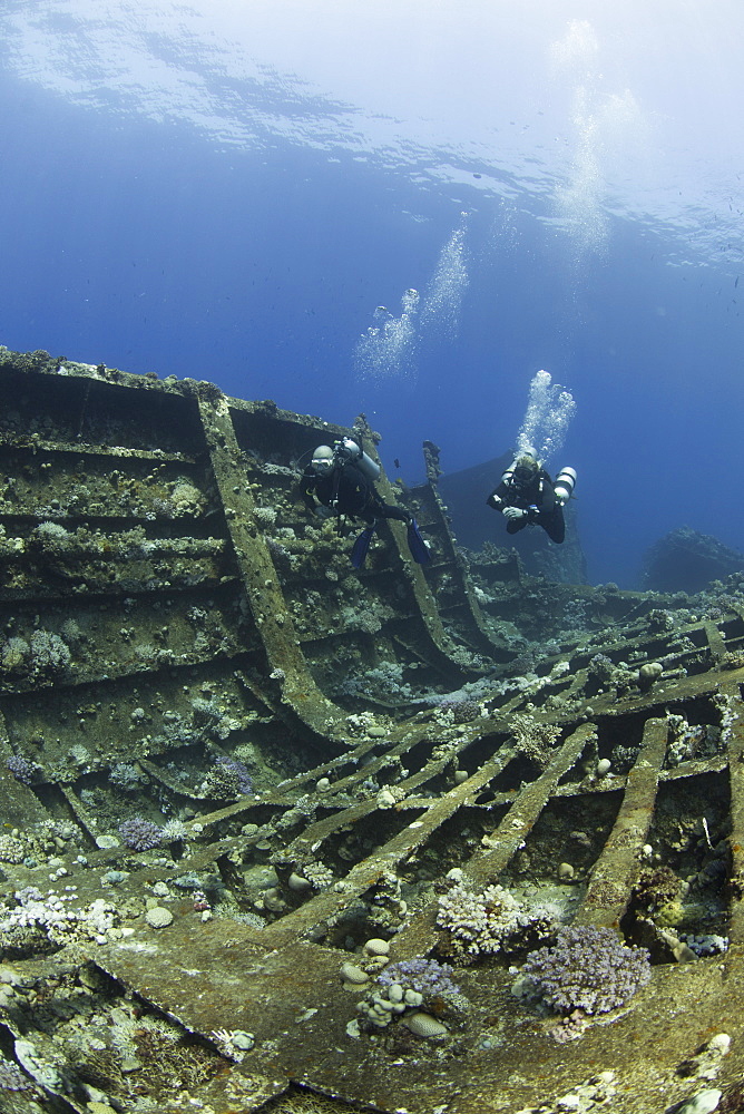 Diving the wreck of The Giannis D, Red Sea, Egypt, North Africa, Africa