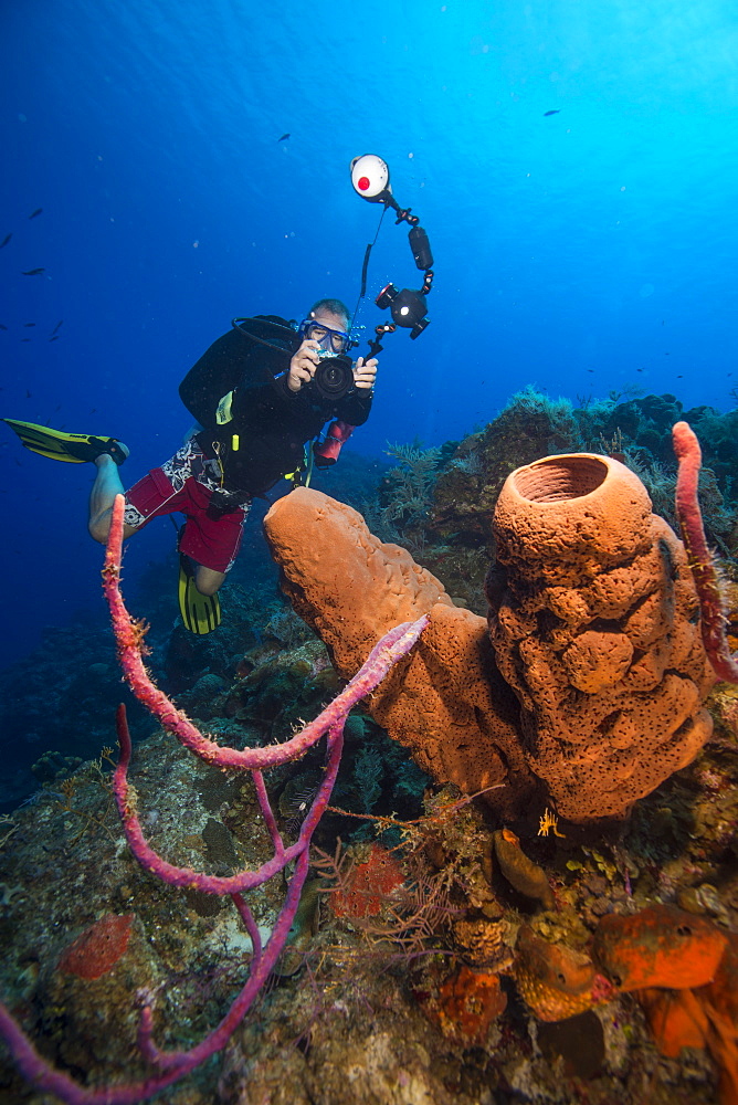 Diver photographing sponge in the Bahamas, West Indies, Central America