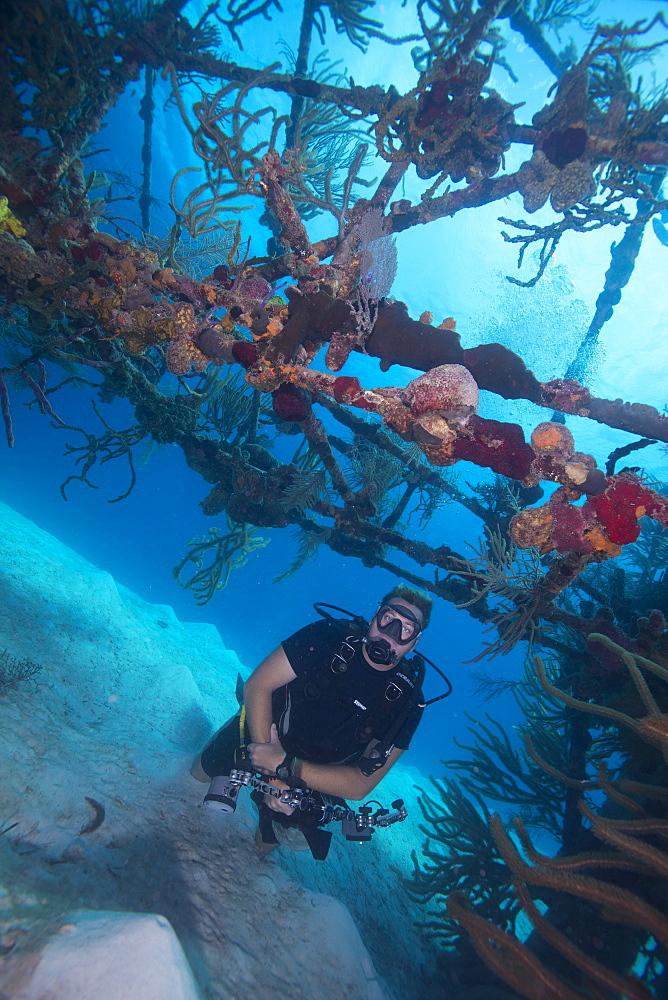 Wreck diving on the James Bond bomber wreck in Bahamas, West Indies, Central America