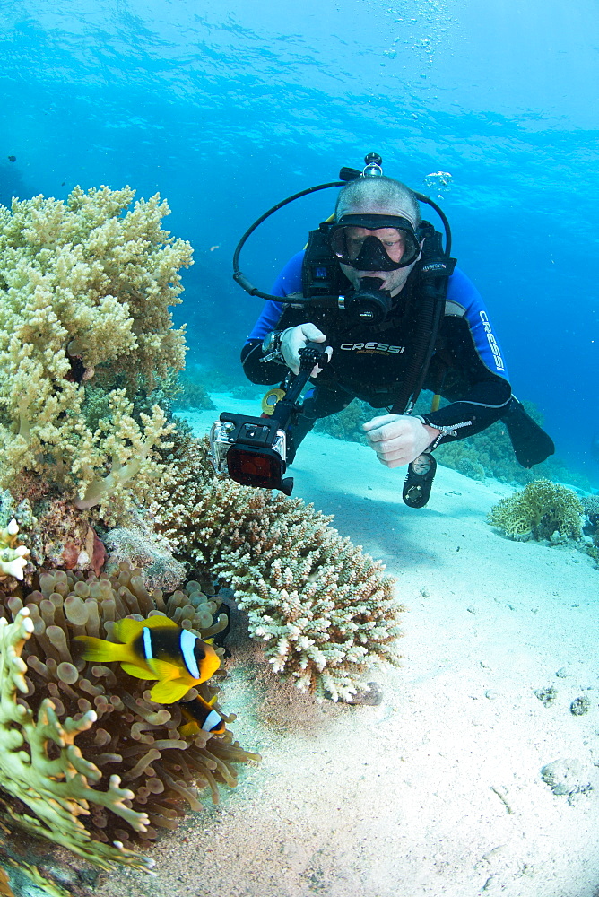 Camera being used by diver underwater in the Red Sea, Egypt, North Africa, Africa