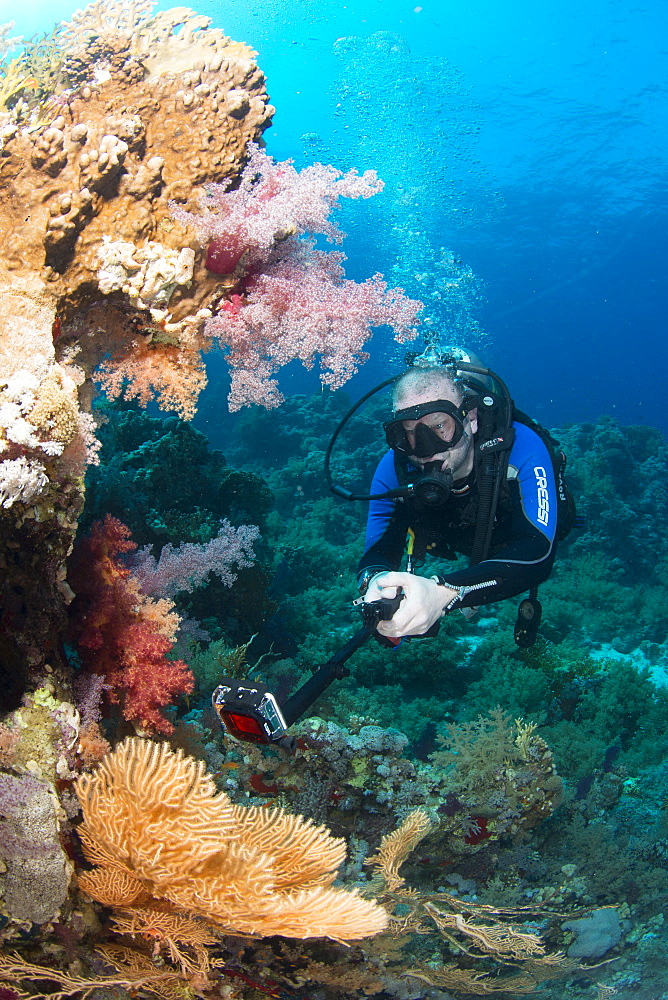 Camera being used by diver underwater in the Red Sea, Egypt, North Africa, Africa