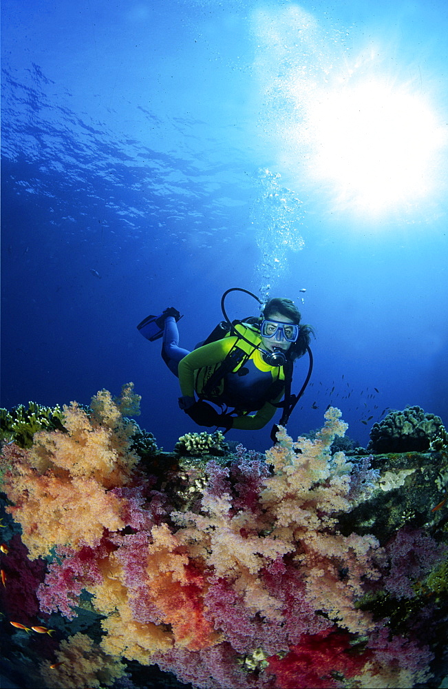 Diver enjoying reef diving in Barbados, Caribbean