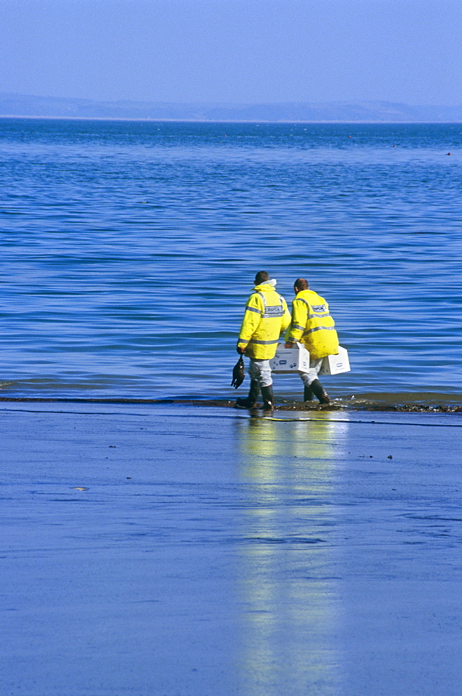 RSPCA inspectors. Tenby beach. Wales, UK