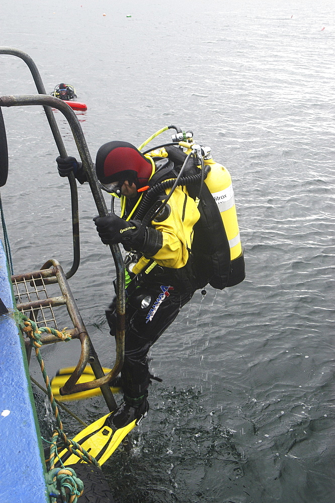 Cold ware Scuba Diver climbing up ladder,Scapa Flow, Orkney islands, Scotland, UK, North Sea