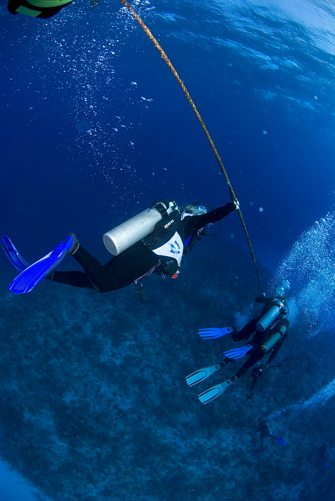 Divers waiting on decompression line, Cayman Brac, Cayman Islands, Caribbean