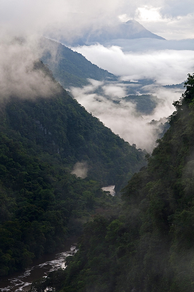 Low cloud in the Potaro River Gorge, Guyana, South America