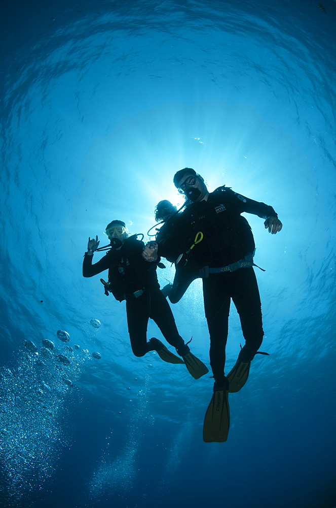 Low angle view of three scuba divers, backlit, Sharm El Sheikh, South Sinai, Red Sea, Egypt, North Africa, Africa