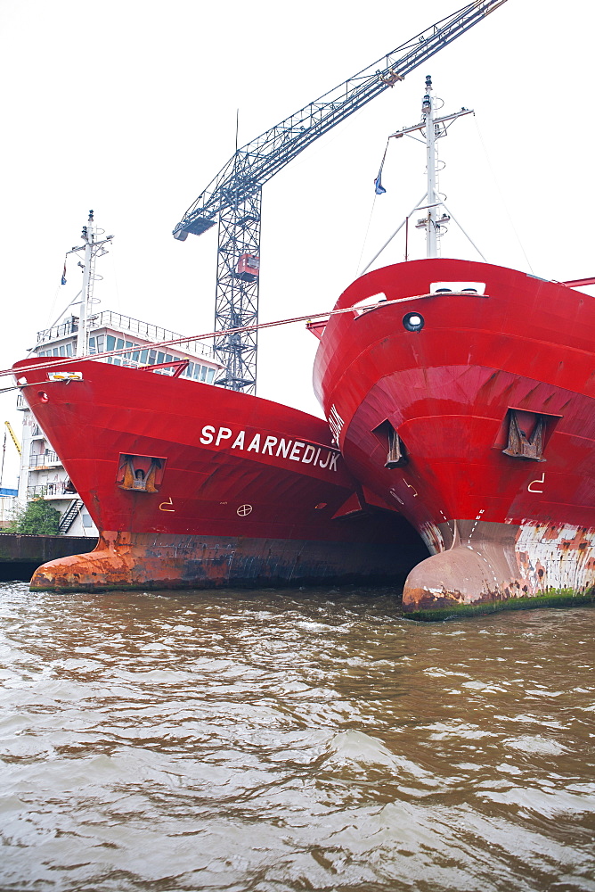 Container ships on the River Mas, Rotterdam, The Netherlands (Holland), Europe